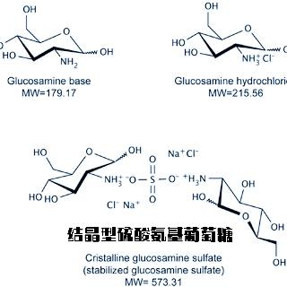 为什么氨糖要停三个月,老年人氨糖吃多久要停一停(4)