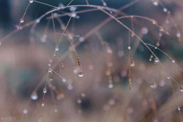 高考遇上雨季祝词,下雨高考祝福语和鼓励的话(4)