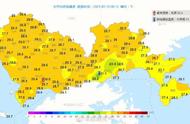 白鹭资料身高（白鹭的泳照）