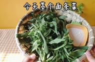 面条菜怎么蒸好吃又简单（面条菜怎样蒸不粘好吃）