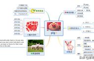 猪英语发音（猪英语怎么读语音）