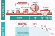 肠癌中期能治好吗（肠癌中期能活多久）