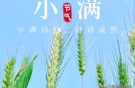 现在雨水节气适合吃什么（雨水节气适合吃什么蔬菜水果）