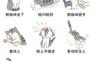 训练猫咪方法大全（猫咪训练方式图解）