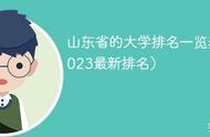 山东正规985名单（山东985211一共多少个）