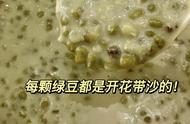 绿豆牛奶冰沙破壁机配方（绿豆沙破壁机的做法大全）