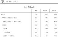 襄阳市主城区人口（襄阳主城区有多少人口）