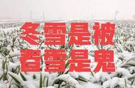 雪花飘飘什么意思呢（雪花飘飘古诗意思）